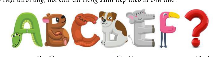 Hình câu 2